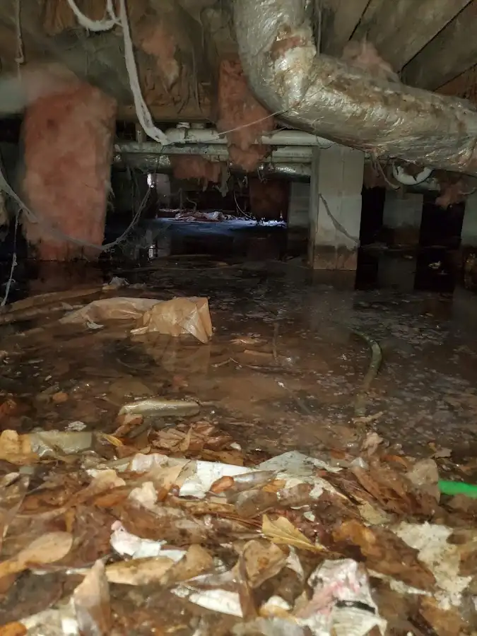Crawl space flood assessment for Leak Detection & Repair in Richmond Hill